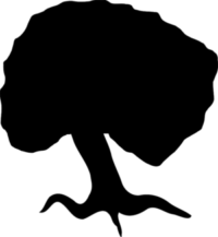logo marc saderi